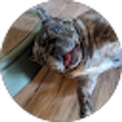 Profile photo of Paty Pimentel