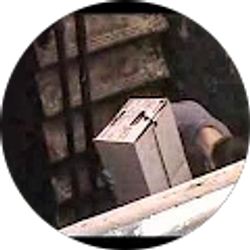 Profile photo of Jeff Sherman