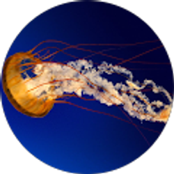 Profile photo of Tommy Boerbon