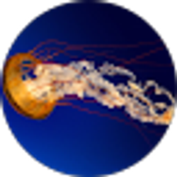 Profile photo of Tommy Boerbon