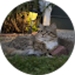 Profile photo of Lena Oseledko