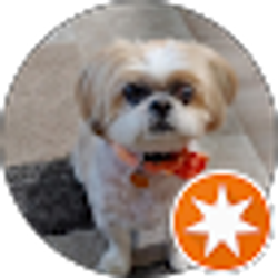 Profile photo of Pat Zimmerman