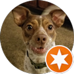 Profile photo of DP Thatsme