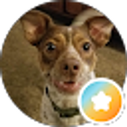 Profile photo of DP Thatsme
