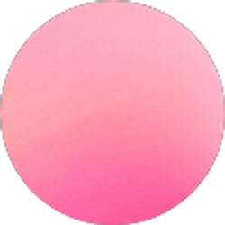 Profile photo of Celia Chung