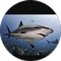 Profile photo of Cristina Juarez