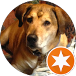 Profile photo of Jennifer Hatcher