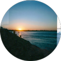 Profile photo of Lesley Starck