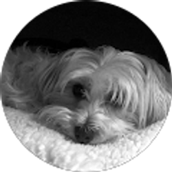 Profile photo of Andrea Cooper