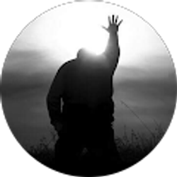 Profile photo of Tim P