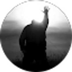 Profile photo of Tim P