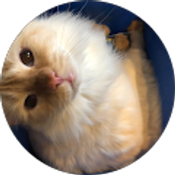 Profile photo of Tierra Cathey