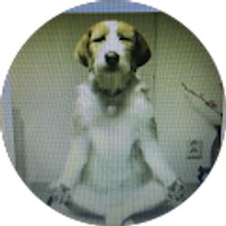 Profile photo of Andy Simon