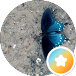 Profile photo of Whitney S