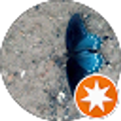 Profile photo of Whitney S