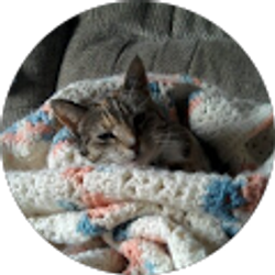 Profile photo of Krissy Lefort