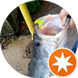 Profile photo of Merritt Wentz