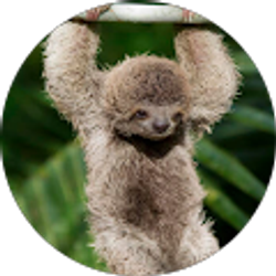 Profile photo of Frank Steiner