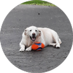 Profile photo of Debbie Cole