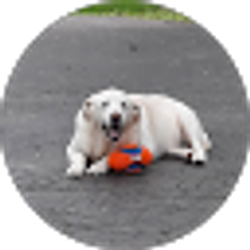 Profile photo of Debbie Cole