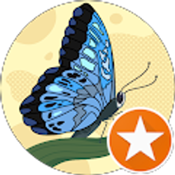 Profile photo of Lori Janko Wilke