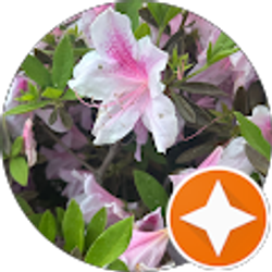 Profile photo of brittney Honeycutt