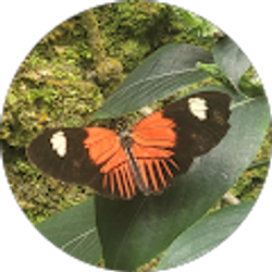 Profile photo of payton marie