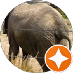 Profile photo of Megan Mcdonald