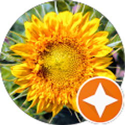 Profile photo of David West