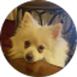Profile photo of Pormaroportierra ?