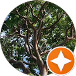 Profile photo of Vidya Seejattan