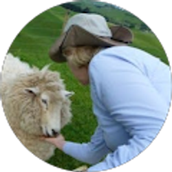 Profile photo of Joan Hostetter