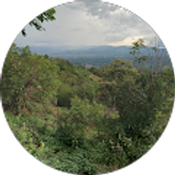 Profile photo of Israel Jose