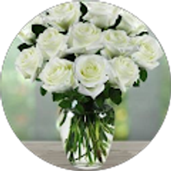 Profile photo of Nini Gram