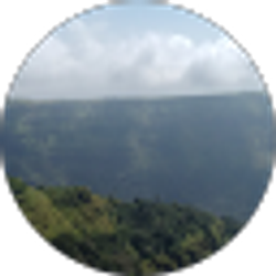 Profile photo of Praveen Kumar
