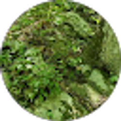 Profile photo of Anon