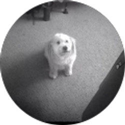 Profile photo of Claudiana Sanchez