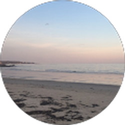 Profile photo of shanellewelly