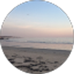 Profile photo of shanellewelly