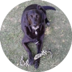 Profile photo of Beth K