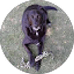 Profile photo of Beth K