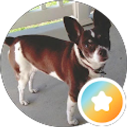 Profile photo of T Beckner