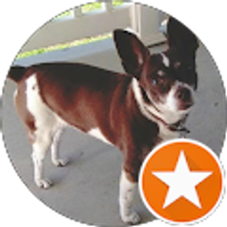 Profile photo of T Beckner