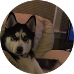 Profile photo of Armando Fer