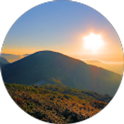 Profile photo of Scott Mitchell