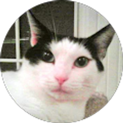 Profile photo of Lauren Fisher