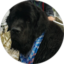 Profile photo of Cameron Gilbertson