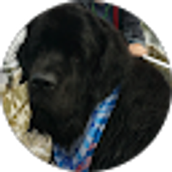 Profile photo of Cameron Gilbertson