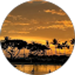 Profile photo of Susan Tetrick