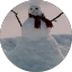 Profile photo of Julie Nelson